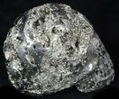 Polished Pyrite Skull With Druzy Crystals #33507-2
